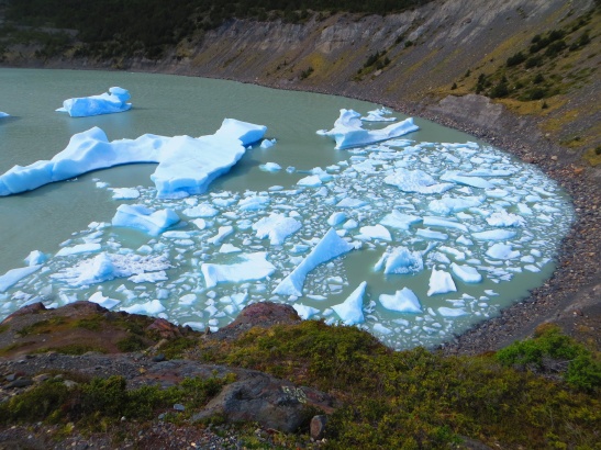 Break icebergs from Glacier Grey