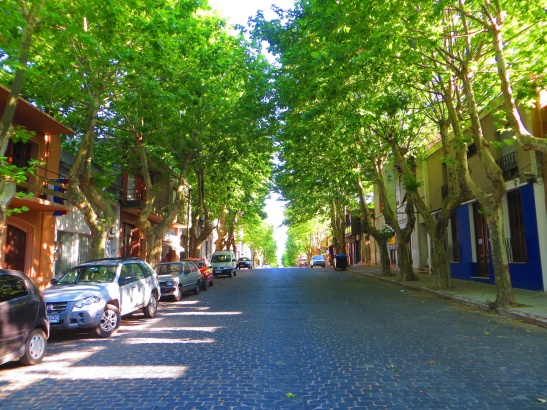 Colonia - So many pretty tree lined streets like this