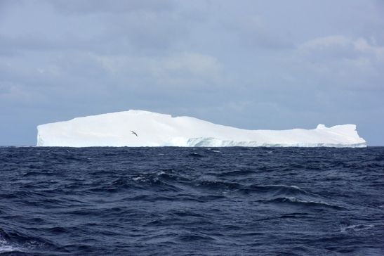 2014 11 19 (Antarctica - 0164 - First Iceberg)