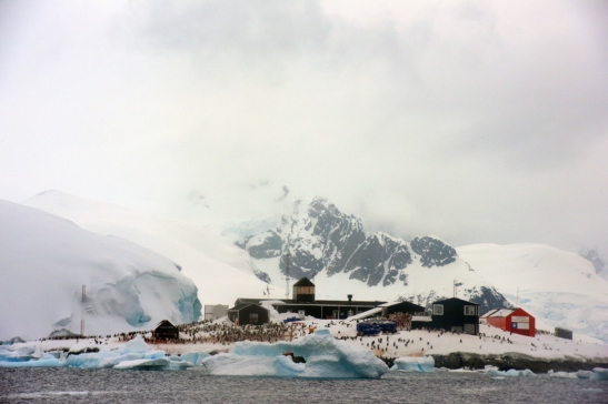 2014 11 21 (Antarctica - 0414)