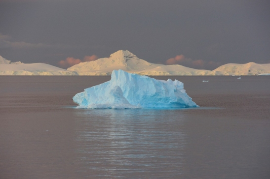 2014 11 23 (Antarctica - 0660)