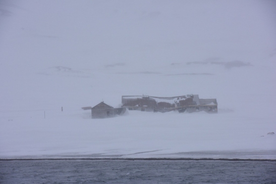 2014 11 24 (Antarctica - 0663 - Neptune's Bellows, Deception Island)