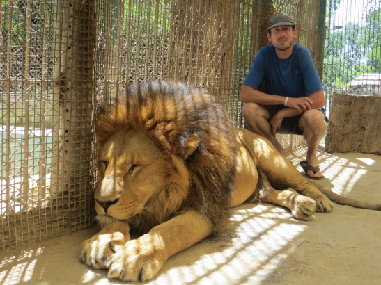 Toby with a 3 year old Lion